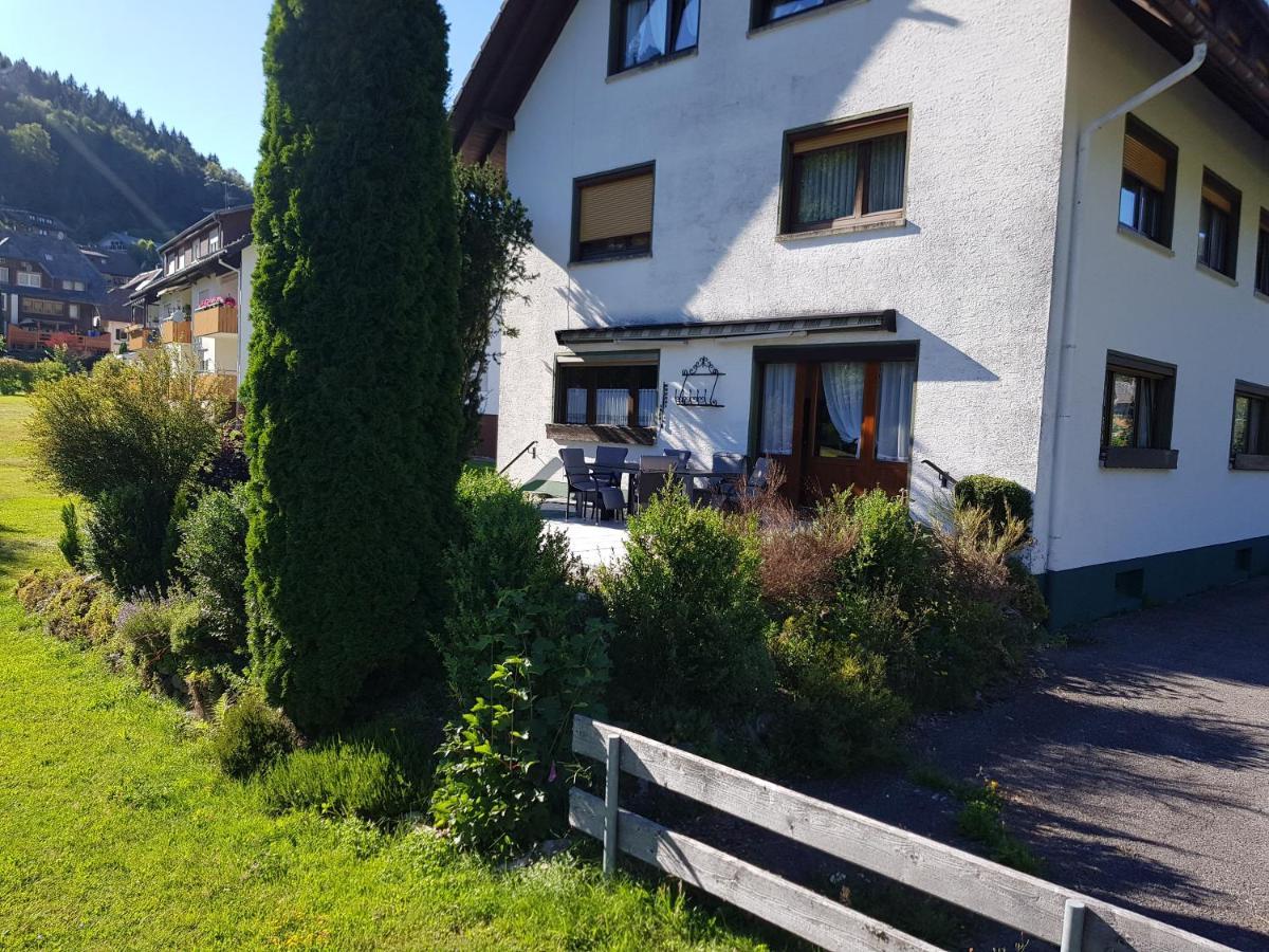 Am Wehrastrand App Eg Todtmoos Exterior photo